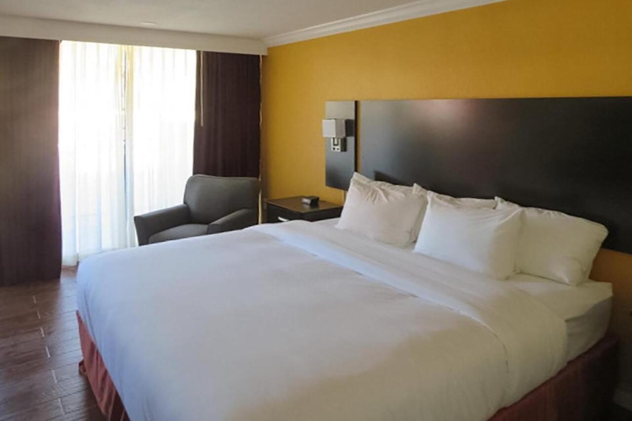 פורט לודרדייל The Link Hotel On Sunrise מראה חיצוני תמונה